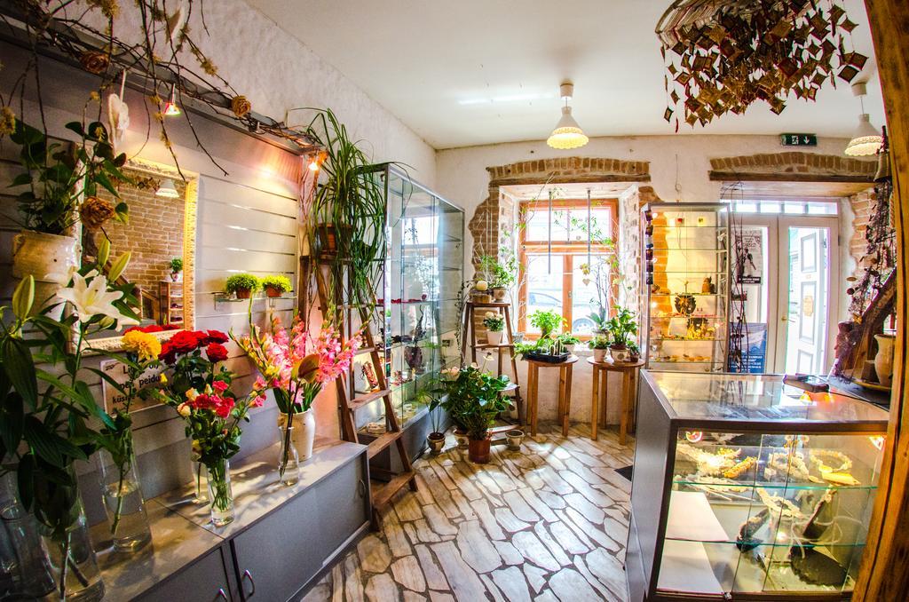 Beguta Guest House Haapsalu Εξωτερικό φωτογραφία