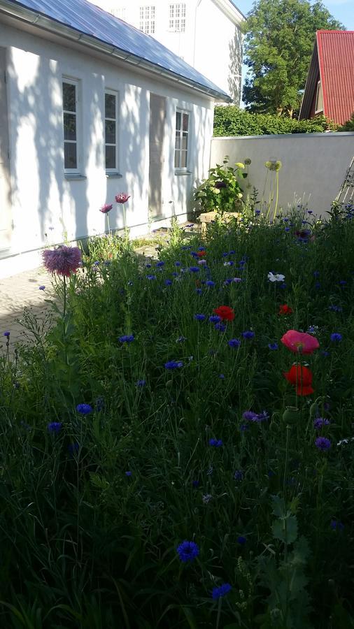 Beguta Guest House Haapsalu Εξωτερικό φωτογραφία